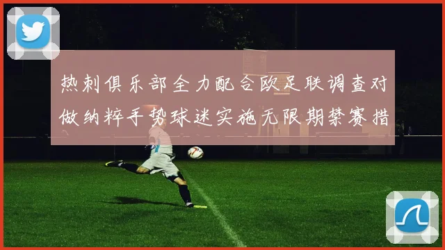 热刺俱乐部全力配合欧足联调查对做纳粹手势球迷实施无限期禁赛措施